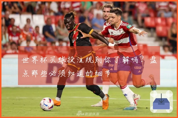 世界杯买球投注规则你了解吗？盘点那些必须知道的细节