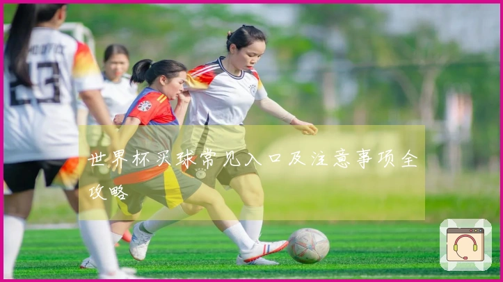 世界杯买球常见入口及注意事项全攻略