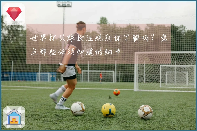 世界杯买球投注规则你了解吗？盘点那些必须知道的细节