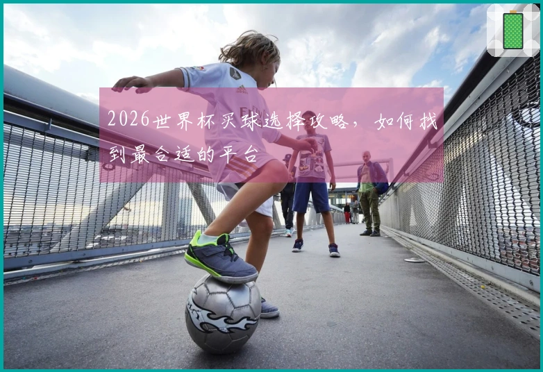 2026世界杯买球选择攻略，如何找到最合适的平台