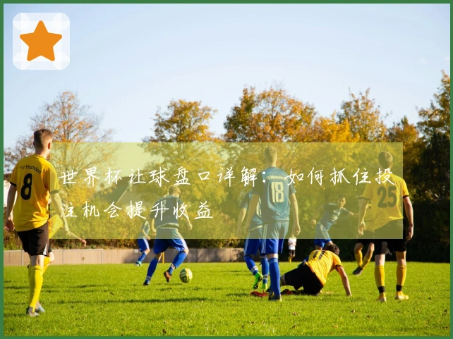 世界杯让球盘口详解：如何抓住投注机会提升收益