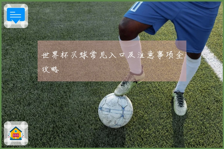 世界杯买球常见入口及注意事项全攻略