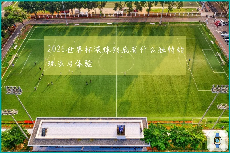 2026世界杯滚球到底有什么独特的玩法与体验