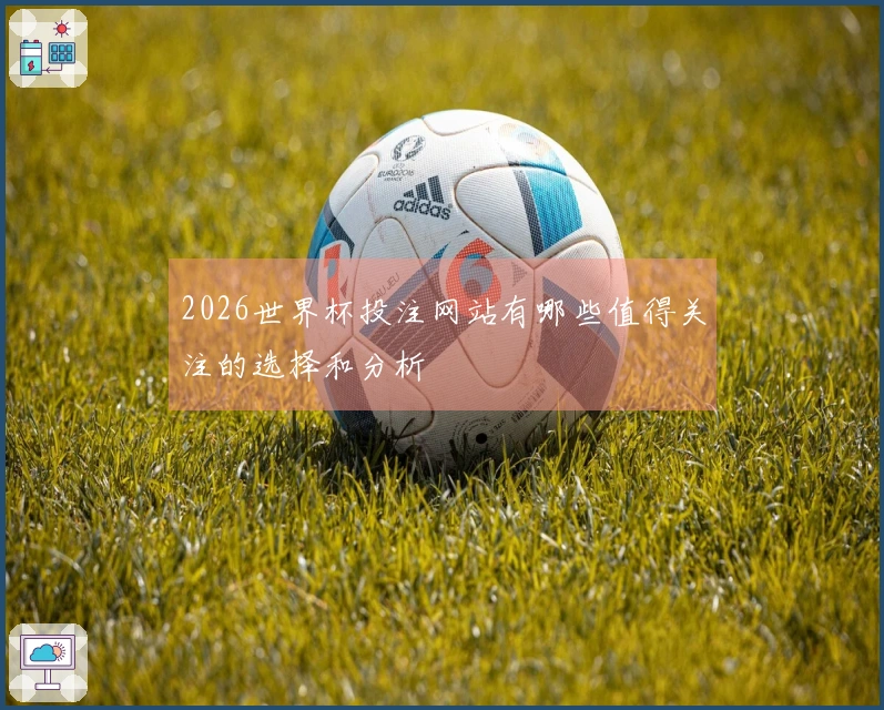 2026世界杯投注网站有哪些值得关注的选择和分析