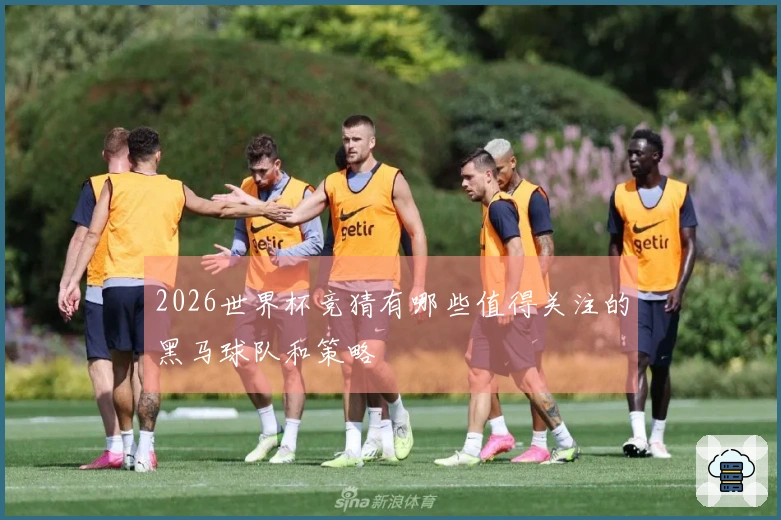 2026世界杯竞猜有哪些值得关注的黑马球队和策略