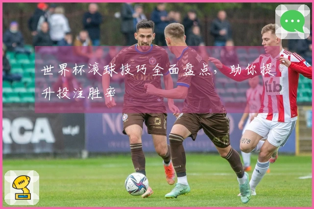 世界杯滚球技巧全面盘点，助你提升投注胜率
