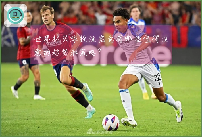 世界杯买球投注究竟有哪些值得注意的趋势和策略？