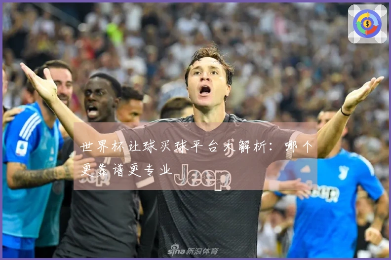 世界杯让球买球平台大解析：哪个更靠谱更专业