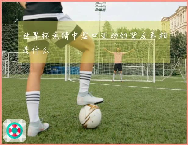 世界杯竞猜中盘口变动的背后真相是什么