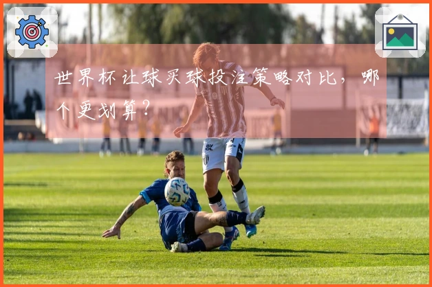 世界杯让球买球投注策略对比，哪个更划算？
